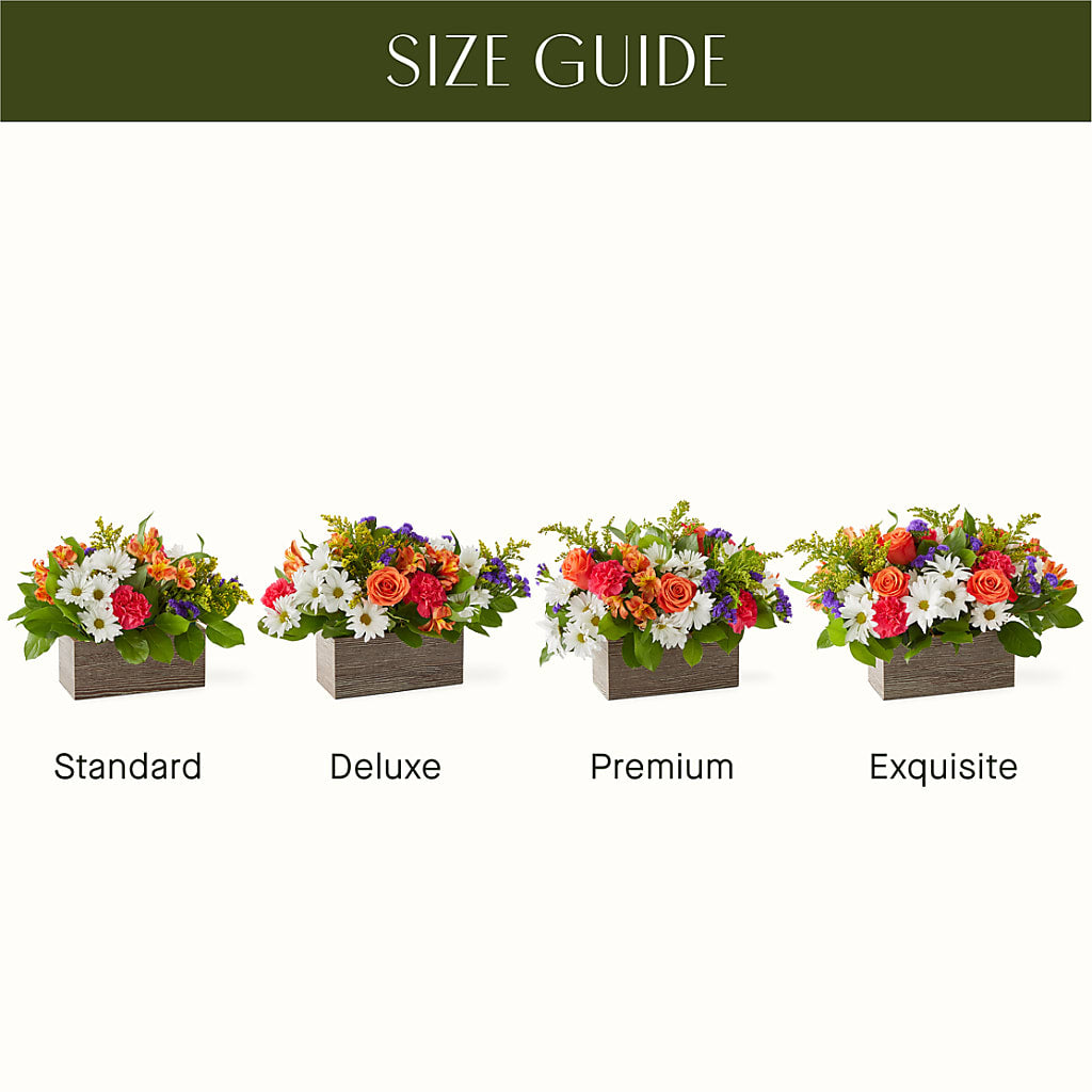 Oopsie Daisy Box Bouquet – For The Love Of Flowers, Johns Island SC