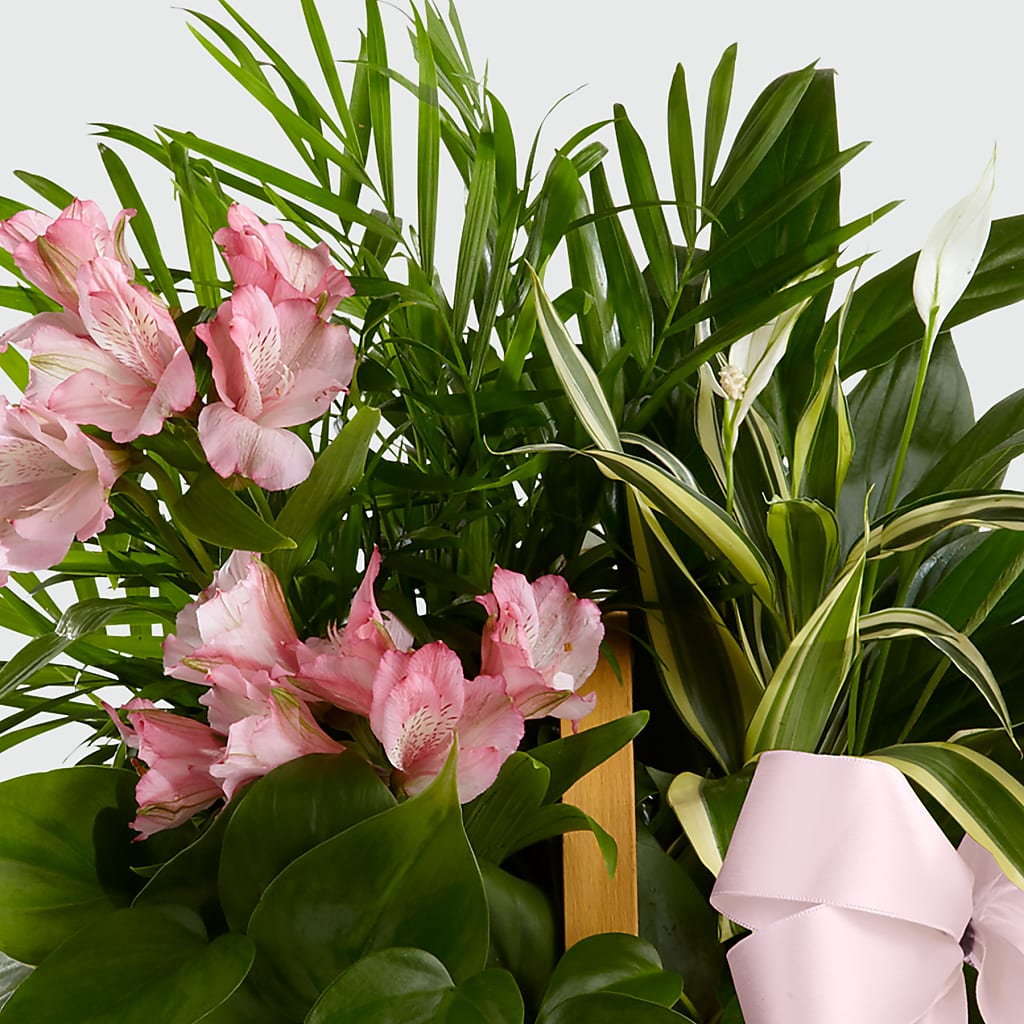Living Spirit Dishgarden – For The Love Of Flowers, Johns Island SC