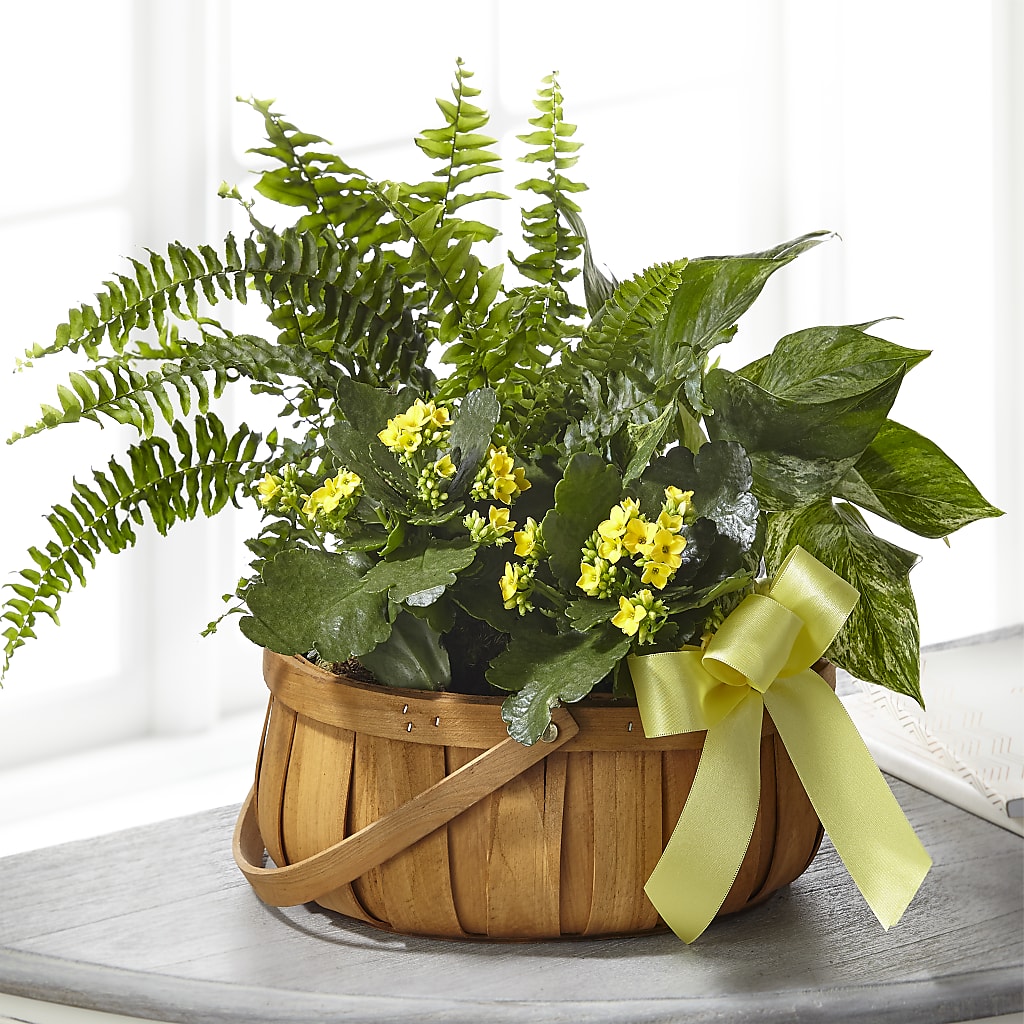 Always Dear Dishgarden – For The Love Of Flowers, Johns Island SC