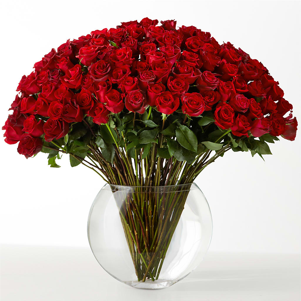 The Idealist – For The Love Of Flowers, Johns Island SC