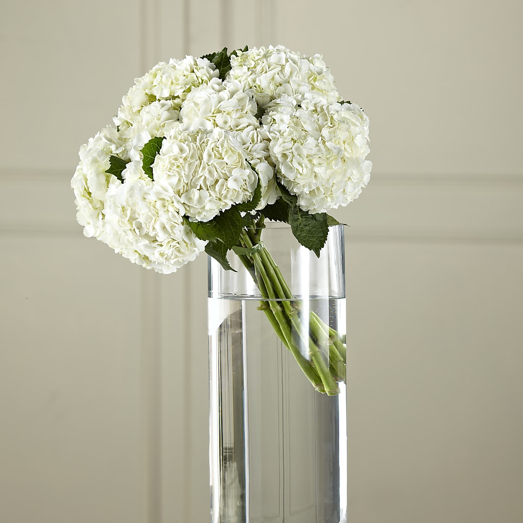 White Hydrangea Hand-Tied Bouquet – For The Love Of Flowers, Johns Island SC