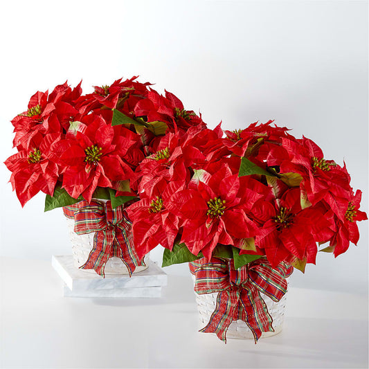 Happiest Holidays Poinsettia Bundle –  For The Love Of Flowers, Johns Island SC
