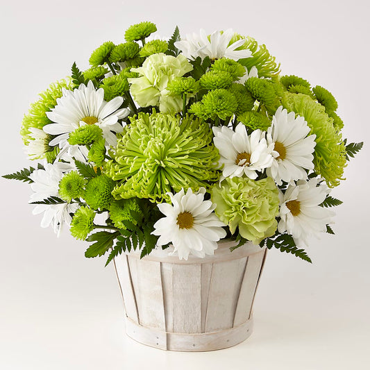 Lucky Charm Basket (Standard) –  For The Love Of Flowers, Johns Island SC