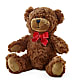 Adorable Plush Bear –  For The Love Of Flowers, Johns Island SC