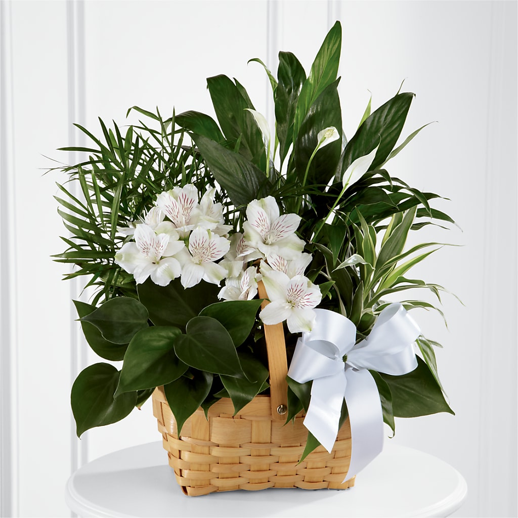 Peace & Serenity Dishgarden –  For The Love Of Flowers, Johns Island SC