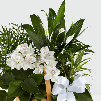 Peace & Serenity Dishgarden –  For The Love Of Flowers, Johns Island SC
