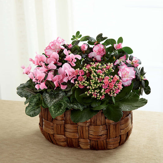Pink Assortment –  For The Love Of Flowers, Johns Island SC