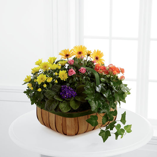 Gentle Blossoms Basket –  For The Love Of Flowers, Johns Island SC
