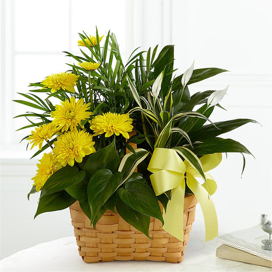 Loving Light Dishgarden –  For The Love Of Flowers, Johns Island SC