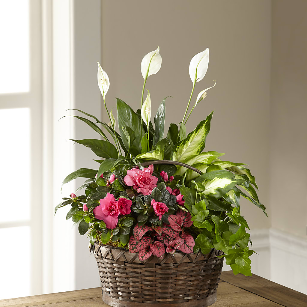 Dream in Pink Dishgarden –  For The Love Of Flowers, Johns Island SC