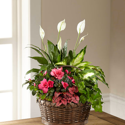 Dream in Pink Dishgarden –  For The Love Of Flowers, Johns Island SC