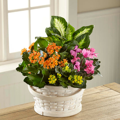 Color Crush Dishgarden –  For The Love Of Flowers, Johns Island SC