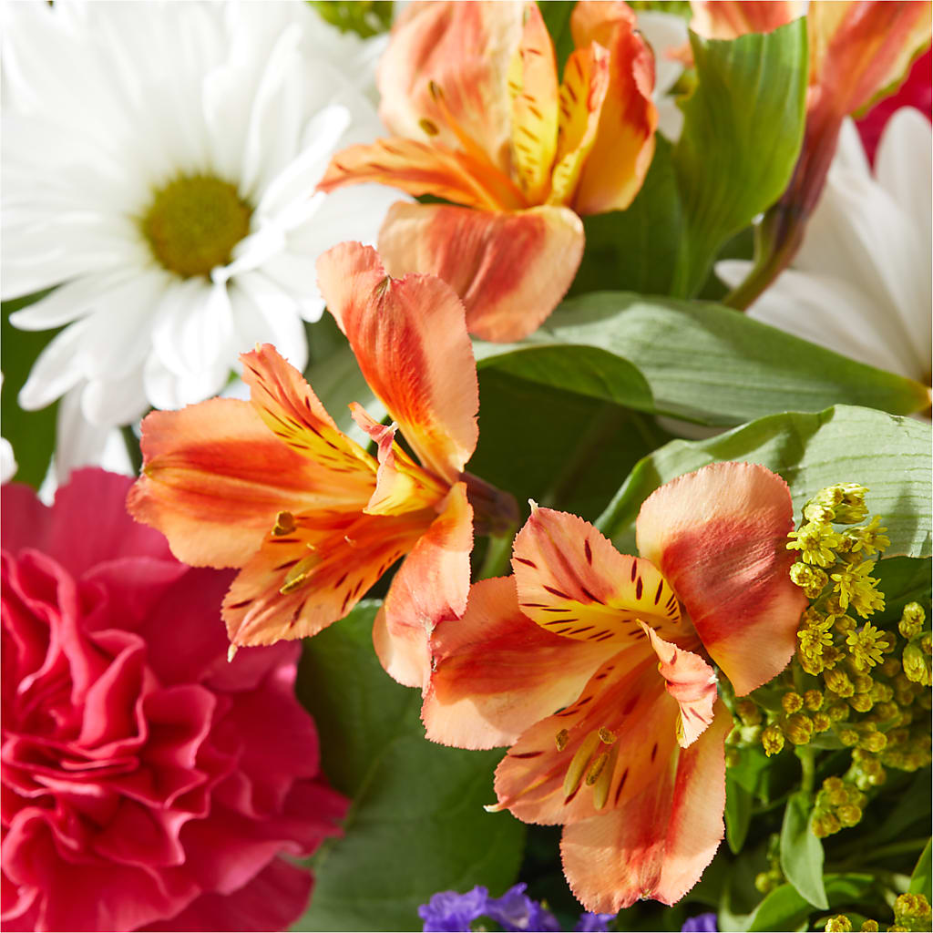 Oopsie Daisy Box Bouquet –  For The Love Of Flowers, Johns Island SC