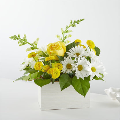Sun Salutation Box Bouquet –  For The Love Of Flowers, Johns Island SC