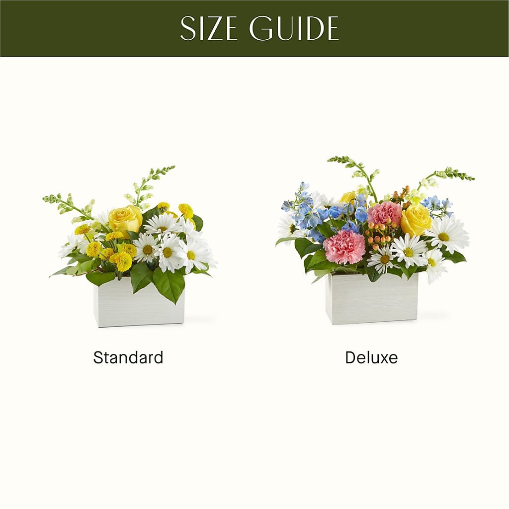 Sun Salutation Box Bouquet –  For The Love Of Flowers, Johns Island SC