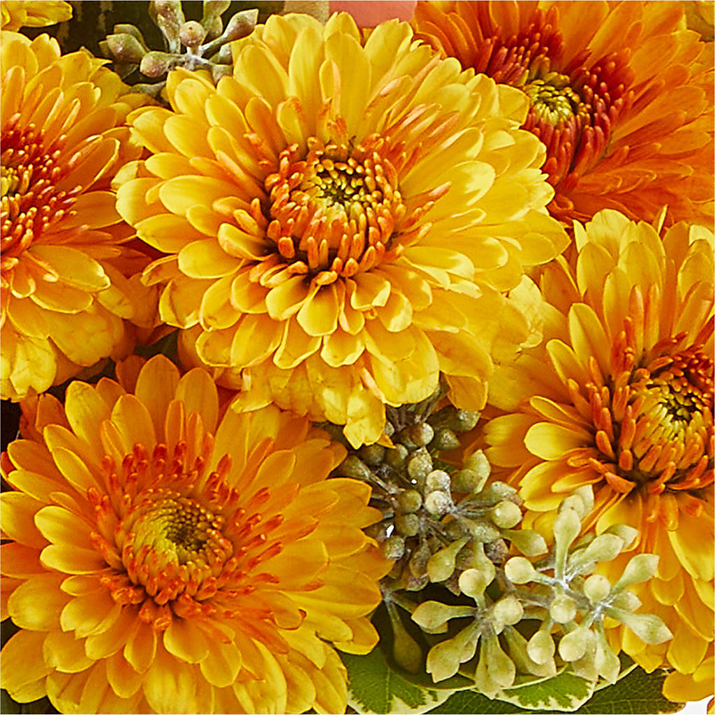 Peachy Pumpkin –  For The Love Of Flowers, Johns Island SC