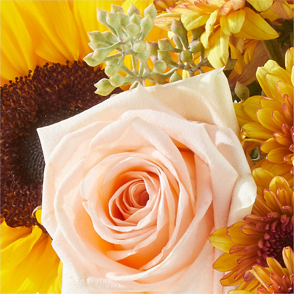 Pumpkin to Talk About Bouquet –  For The Love Of Flowers, Johns Island SC
