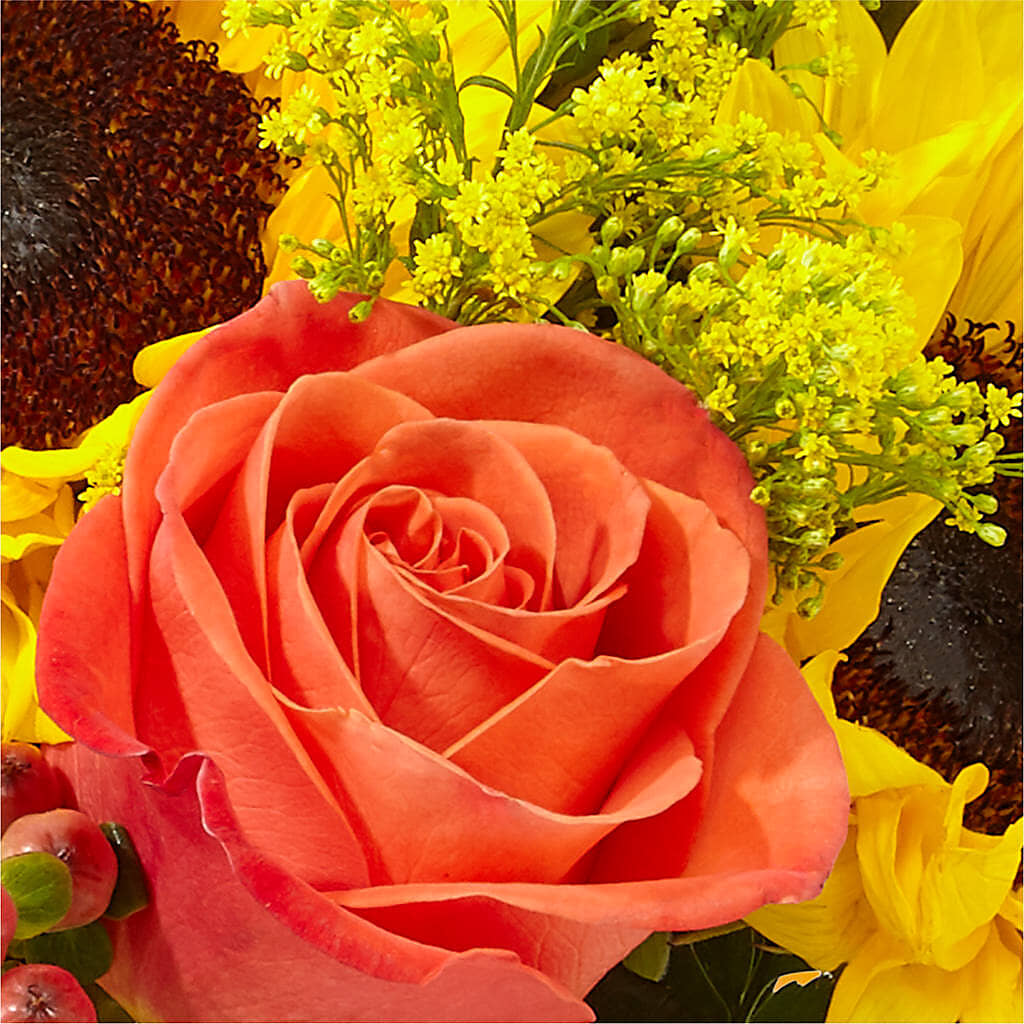 Pick of the Patch Pumpkin Bouquet –  For The Love Of Flowers, Johns Island SC