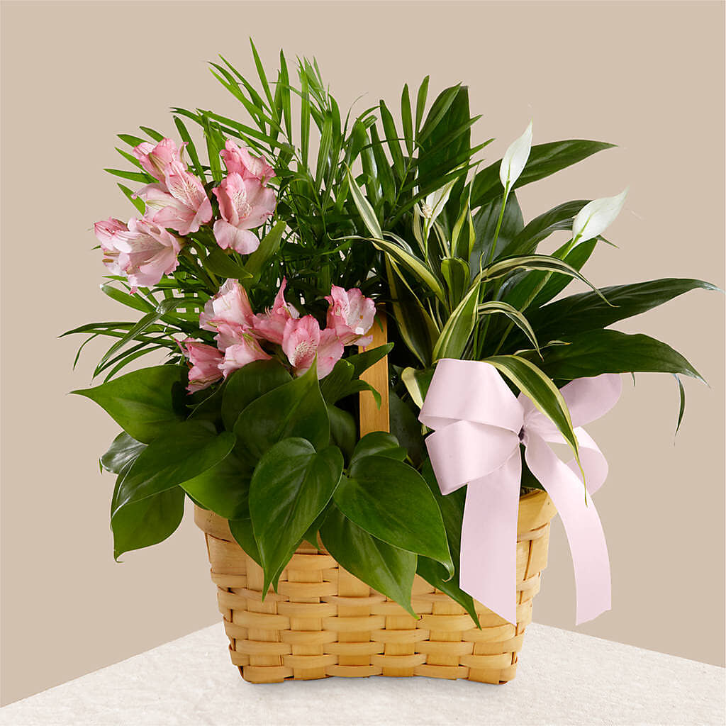 Living Spirit Dishgarden –  For The Love Of Flowers, Johns Island SC