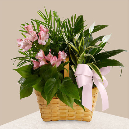 Living Spirit Dishgarden –  For The Love Of Flowers, Johns Island SC