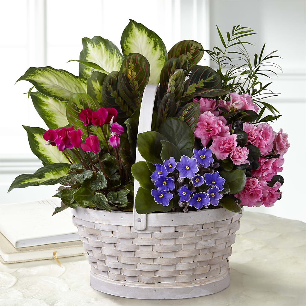 Peaceful Garden Planter –  For The Love Of Flowers, Johns Island SC