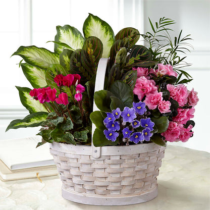Peaceful Garden Planter –  For The Love Of Flowers, Johns Island SC