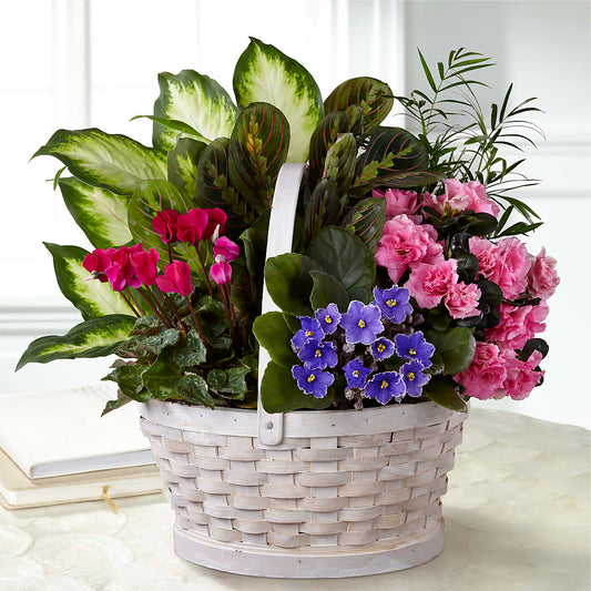 Peaceful Garden Planter –  For The Love Of Flowers, Johns Island SC