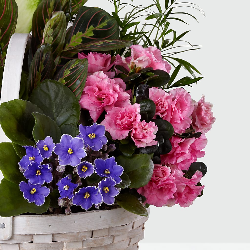 Peaceful Garden Planter –  For The Love Of Flowers, Johns Island SC