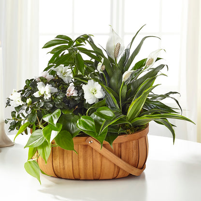 Serene Dishgarden –  For The Love Of Flowers, Johns Island SC