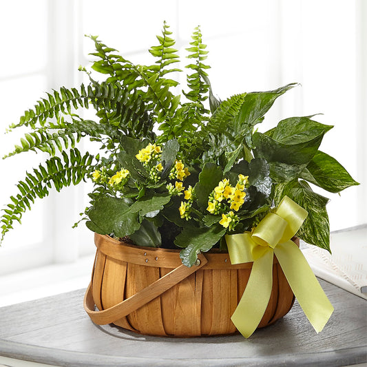 Always Dear Dishgarden –  For The Love Of Flowers, Johns Island SC