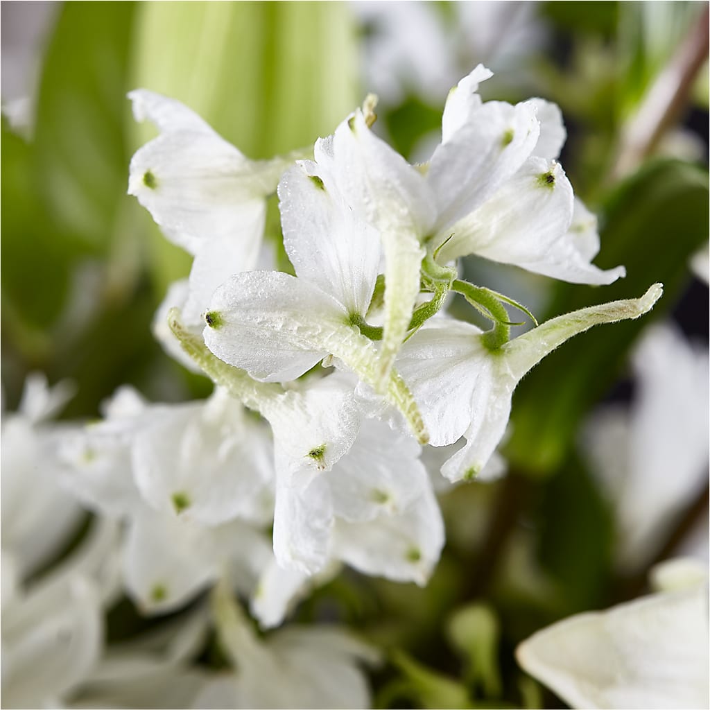 Classic Ivory – A Florist Original –  For The Love Of Flowers, Johns Island SC