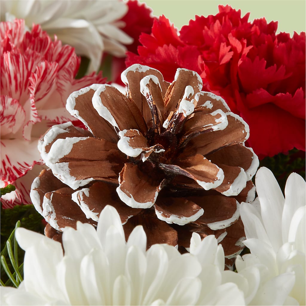 Candy Cane Lane Bouquet –  For The Love Of Flowers, Johns Island SC