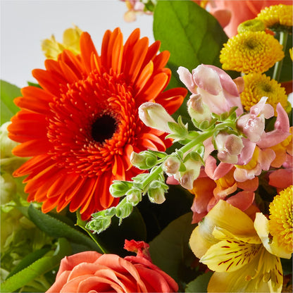 Autumn Sunshine Bouquet –  For The Love Of Flowers, Johns Island SC