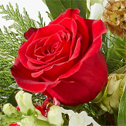 Deck the Halls Bouquet –  For The Love Of Flowers, Johns Island SC
