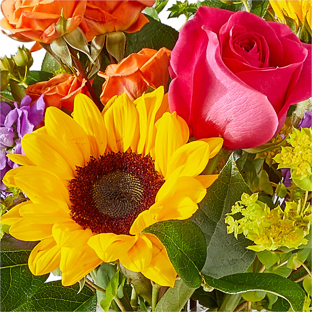 Vibrant Greetings Bouquet –  For The Love Of Flowers, Johns Island SC