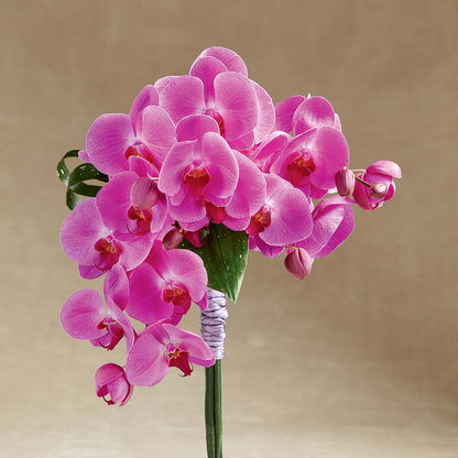 Glorious Bouquet –  For The Love Of Flowers, Johns Island SC