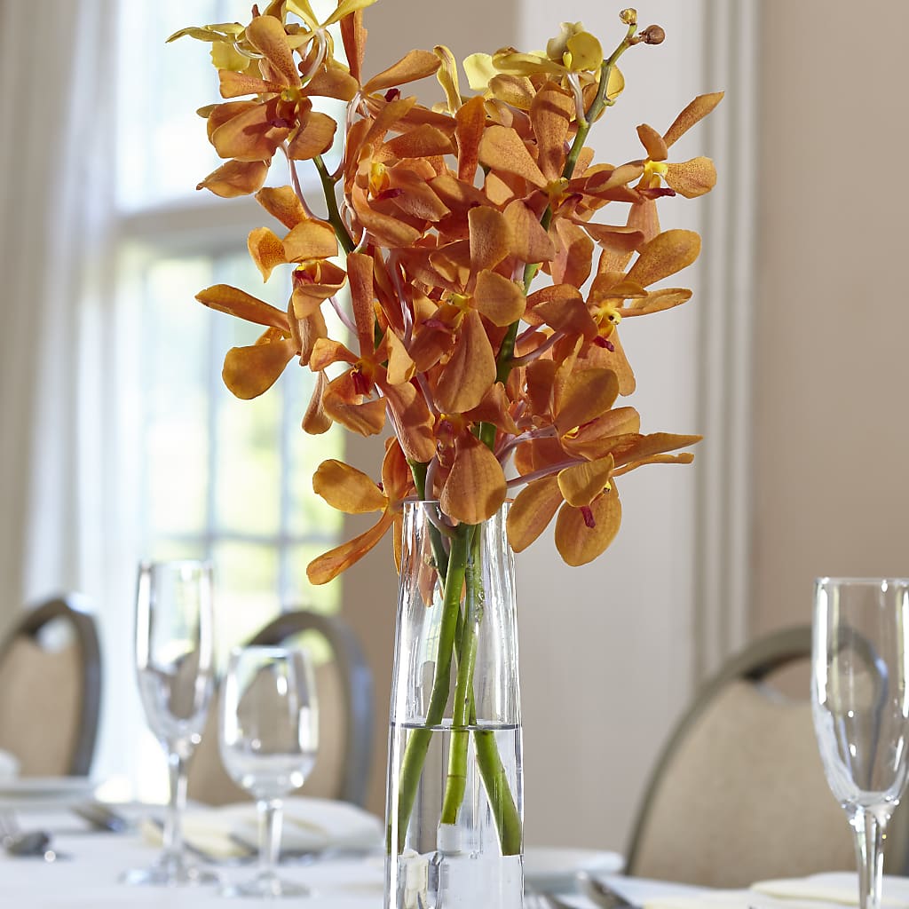 Orange Mokara Bud Vase –  For The Love Of Flowers, Johns Island SC