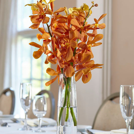 Orange Mokara Bud Vase –  For The Love Of Flowers, Johns Island SC
