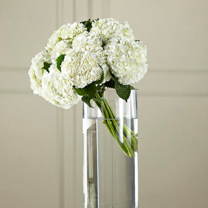 White Hydrangea Hand-Tied Bouquet –  For The Love Of Flowers, Johns Island SC