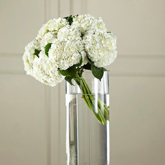 White Hydrangea Hand-Tied Bouquet –  For The Love Of Flowers, Johns Island SC